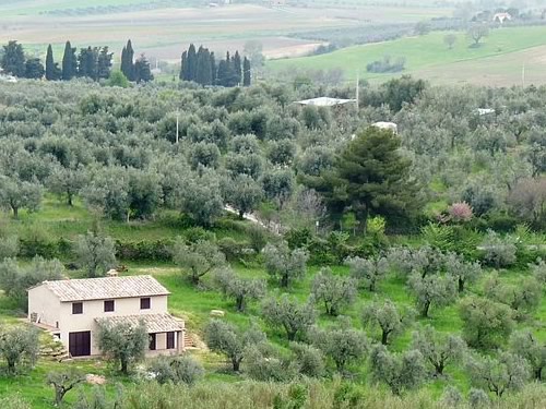 capodanno Maremma